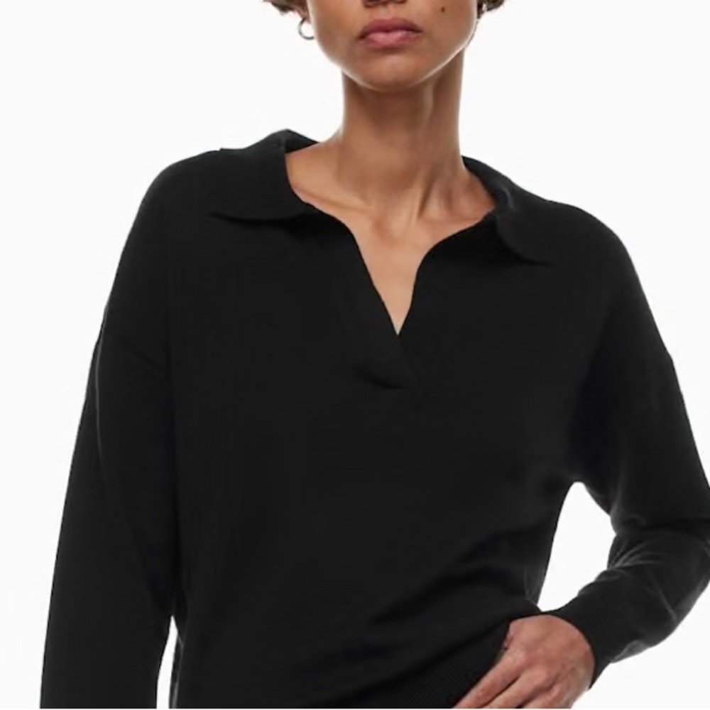 Aritzia Wilfred Sweater